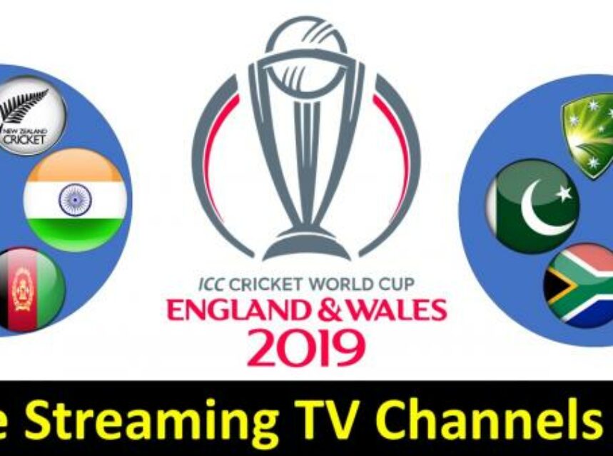 cricket match 2019 live